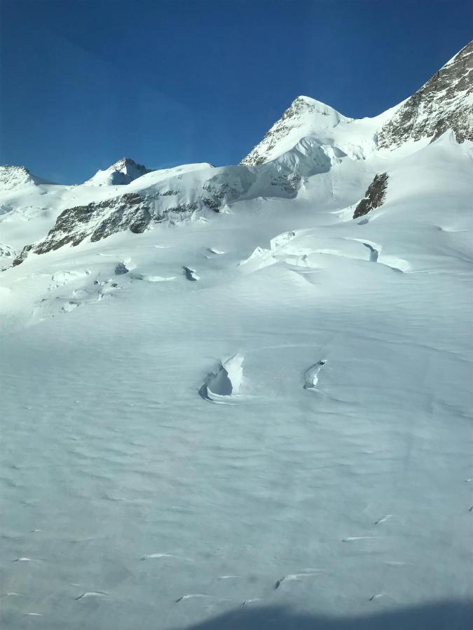 Chalet Burglauenen Grindelwald Eksteriør billede