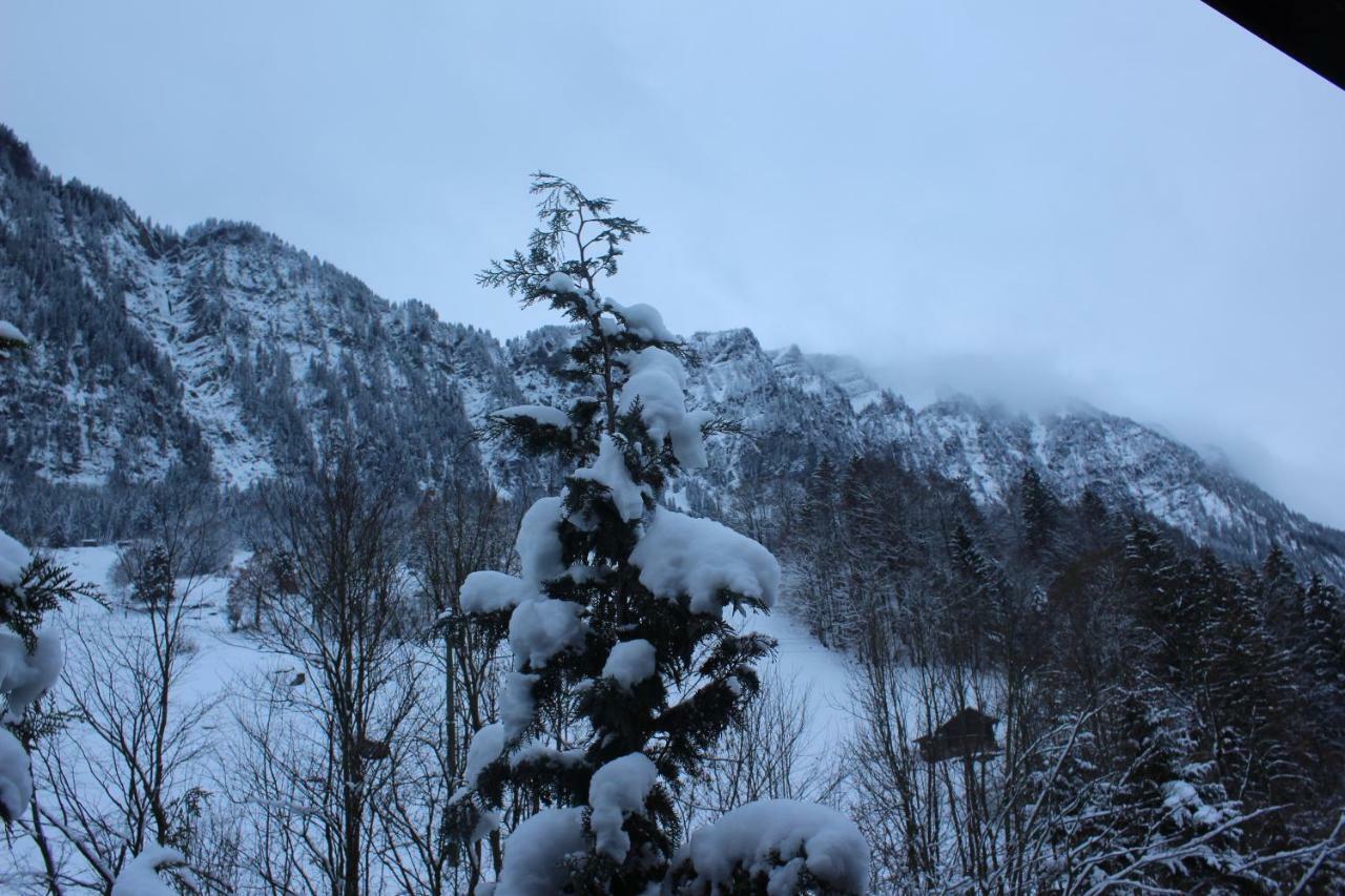 Chalet Burglauenen Grindelwald Eksteriør billede
